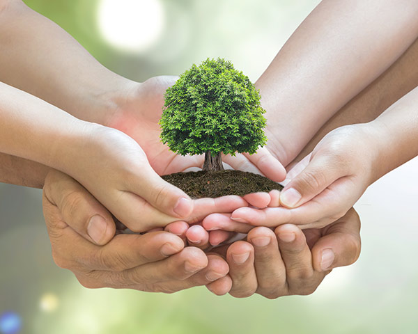 Our sustainable production management